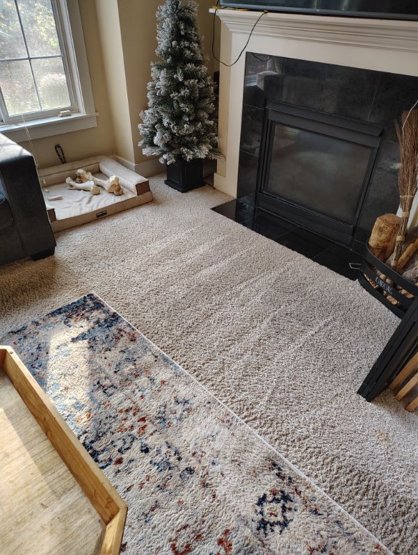 A bright, freshly cleaned living room with natural light streaming through the windows